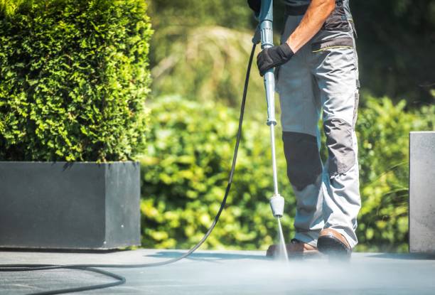 Best Fence Cleaning  in St Joseph, MN