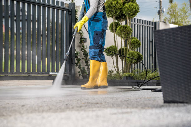 Best Sidewalk and Walkway Cleaning  in St Joseph, MN